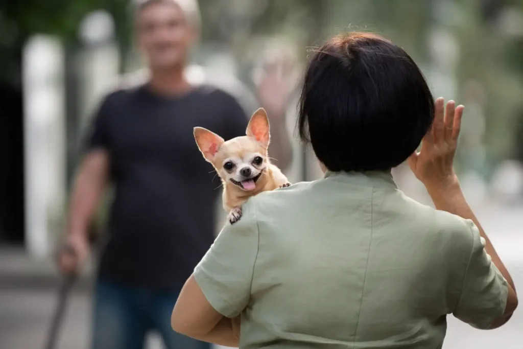 pets guarda